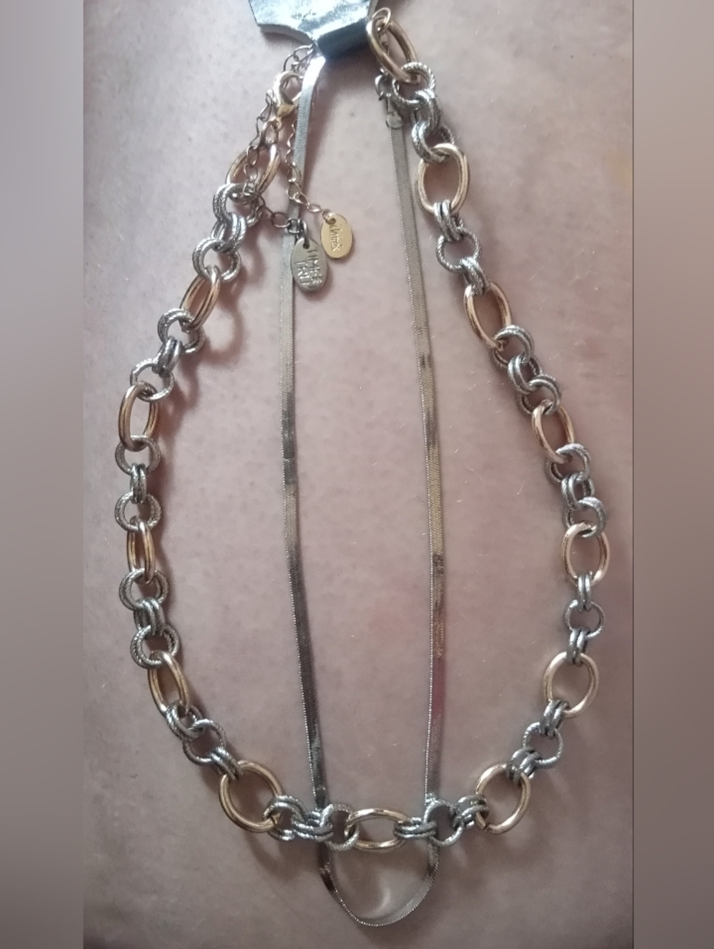 2 Necklaces- 1 Claire's Chunky Rolo 2-Toned 18.5", 1 Time & Tru Snake Chain 16"